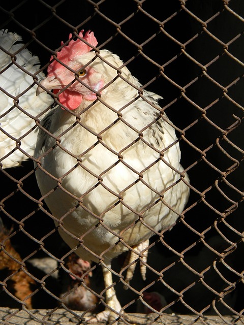 企对话机制 企对话机制