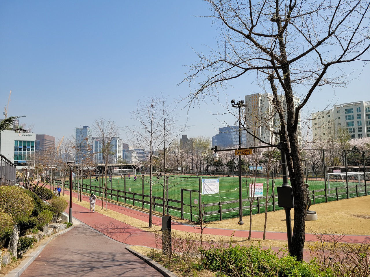 古德温展现 古德温展现