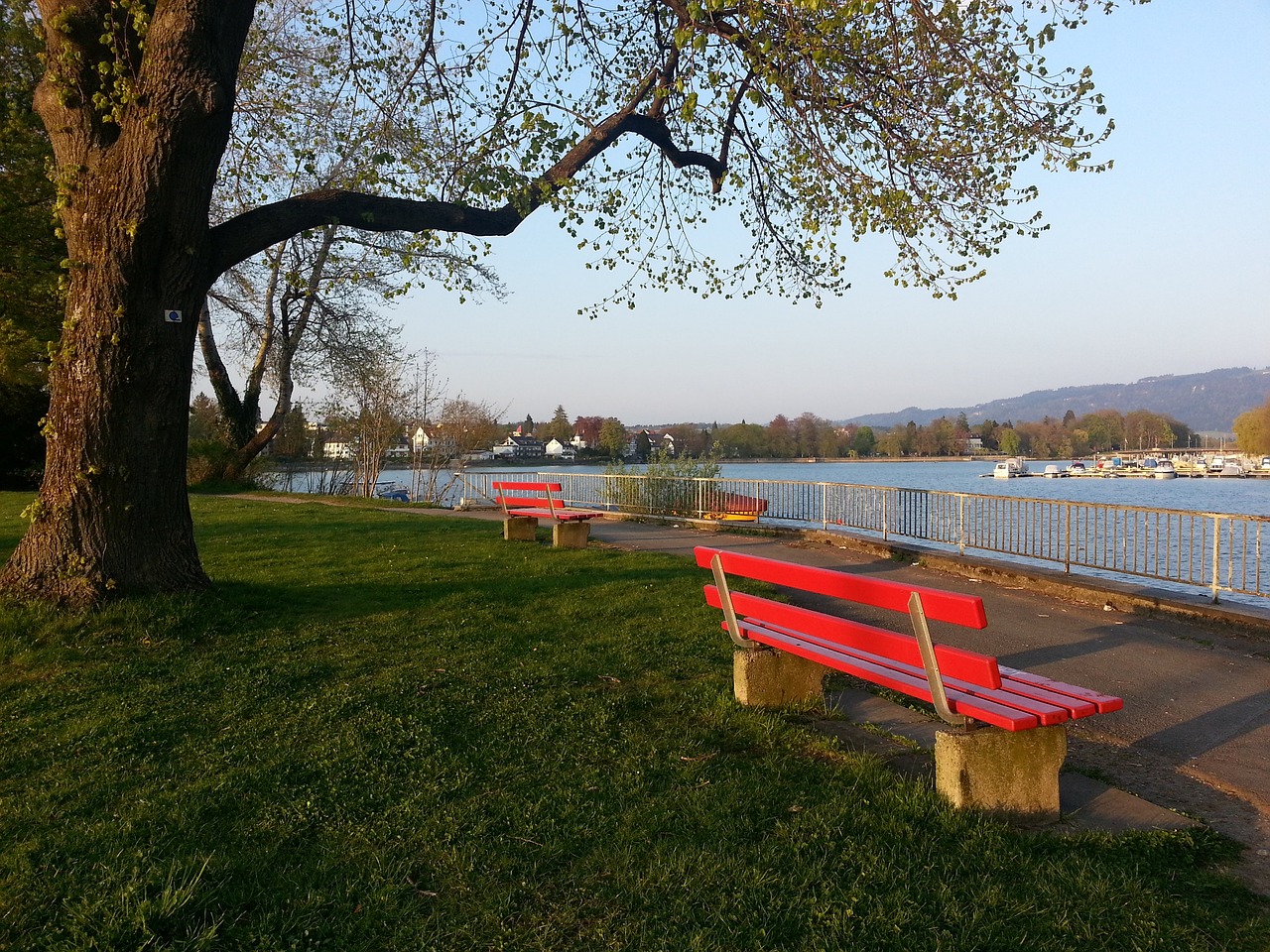 在这个赛季 在这个赛季