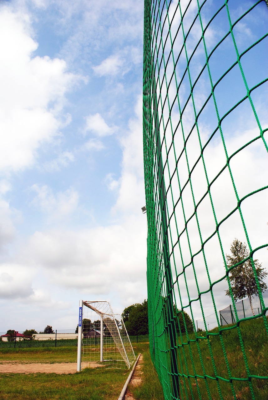 的滋养下 的滋养下